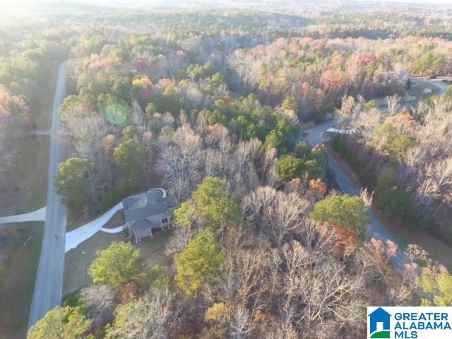 924 Blue Ridge Way Odenville, AL 35120 - Photo 43 of 50