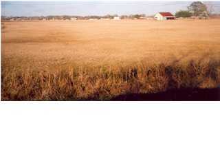 0 Bourque Road Lafayette, LA 70506 - Photo 1 of 1 Primary Photo