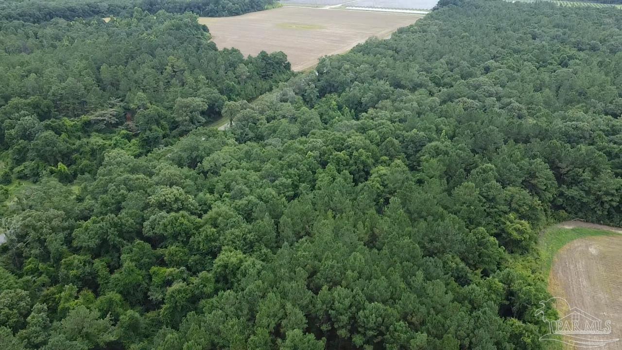 7600 Bratt Road Century, FL 32535 - Photo 34 of 41