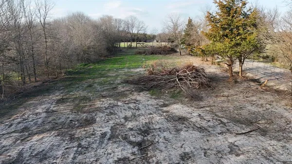 a view of a yard with large trees