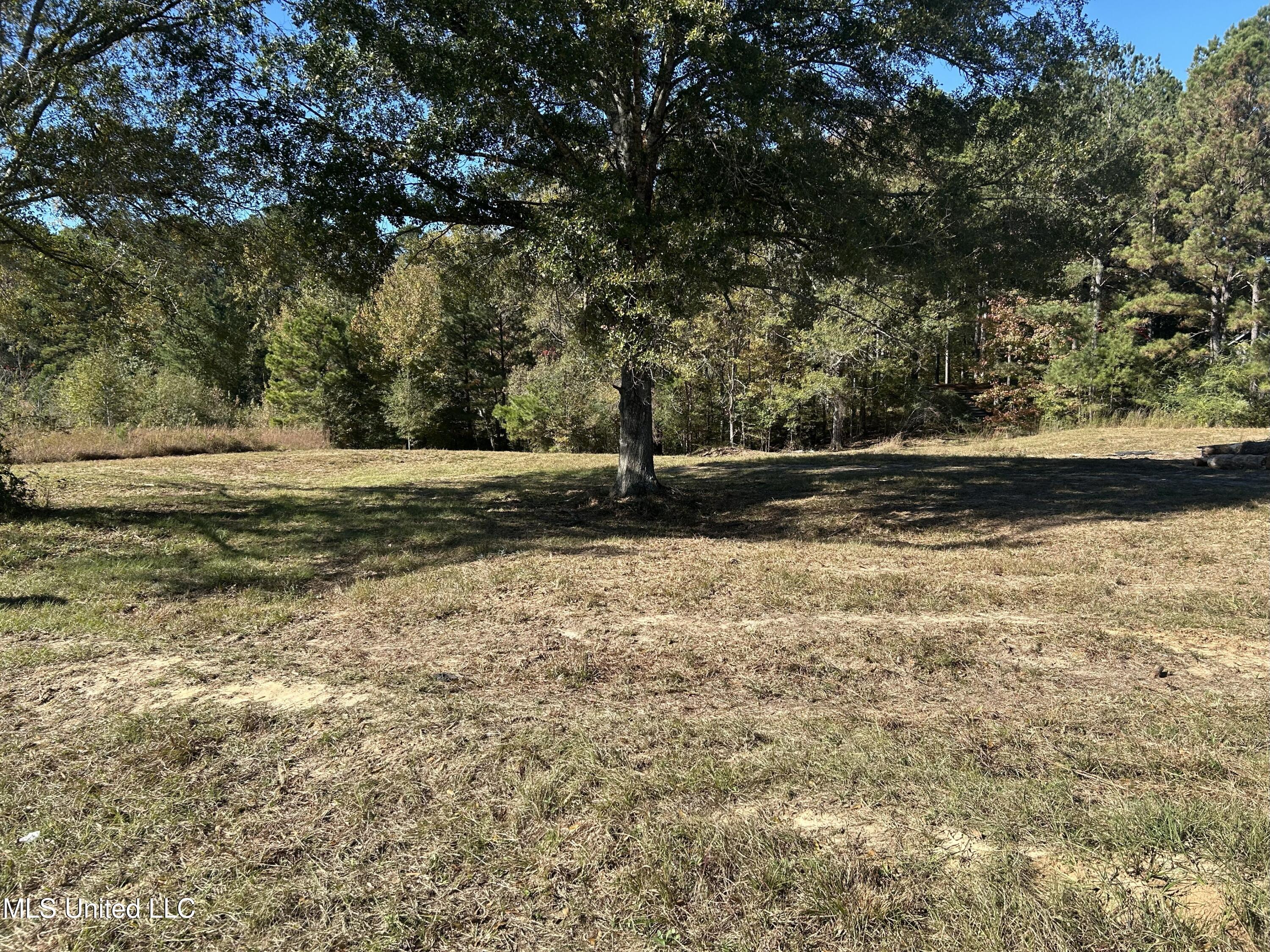 2435 Tiger Trail Southwest Brookhaven, MS 39601 - Photo 20 of 26 IMG_5446