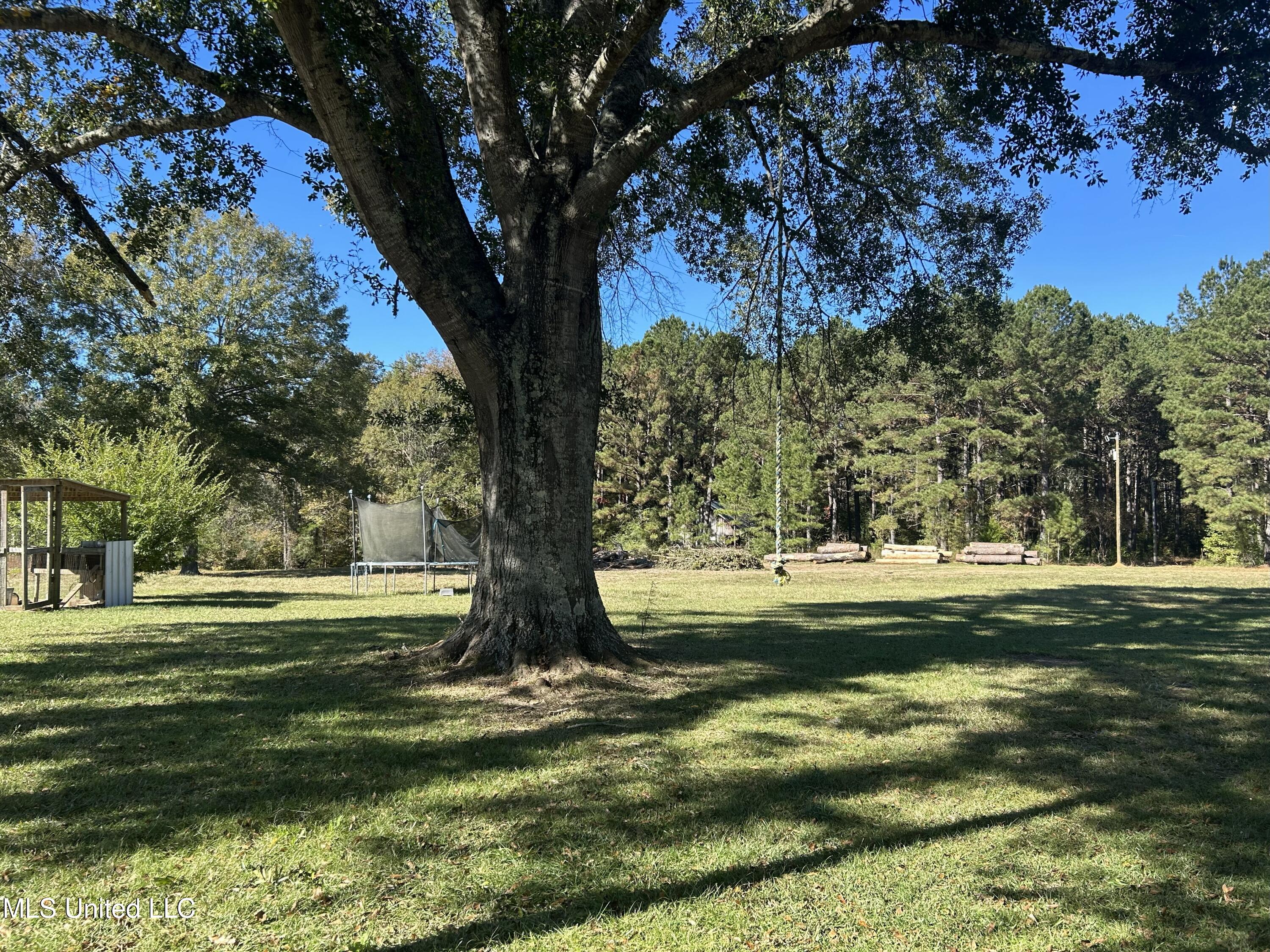 2435 Tiger Trail Southwest Brookhaven, MS 39601 - Photo 22 of 26 IMG_5439