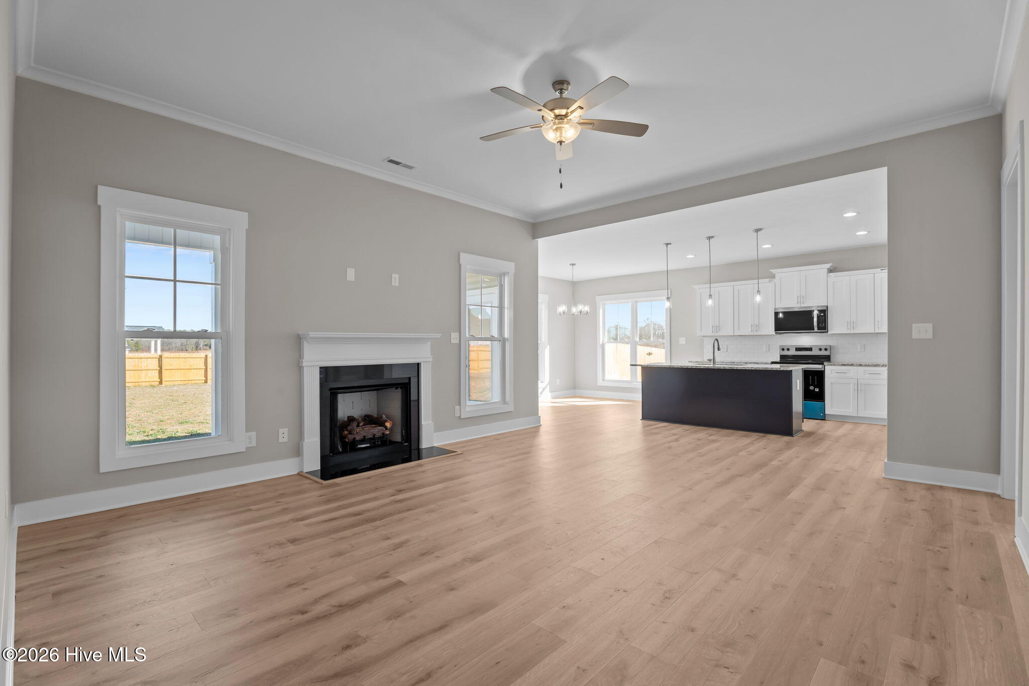 268 Fields Road, Unit LOT 02 Pikeville, NC 27863 - Photo 8 of 48 21-web-or-mls-DSC09686