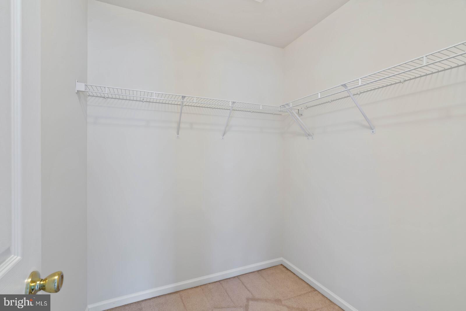 21508 Tamarack Ridge Square Sterling, VA 20164 - Photo 28 of 45 Primary bedroom with walk in closet