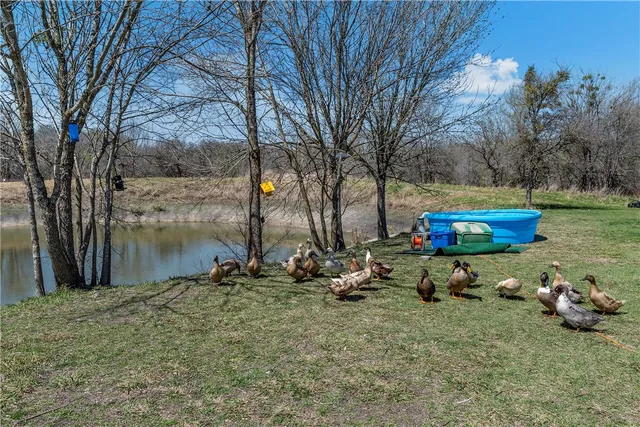 a view of a lake with houses in the back