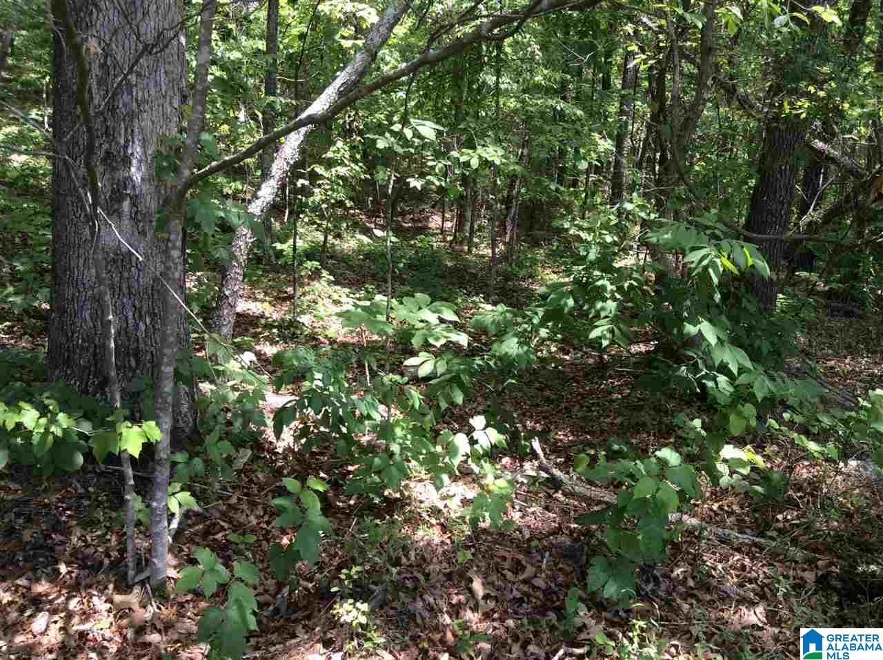 Hoyt Hill Road, Unit 1 Ashville, AL 35953 - Photo 3 of 13