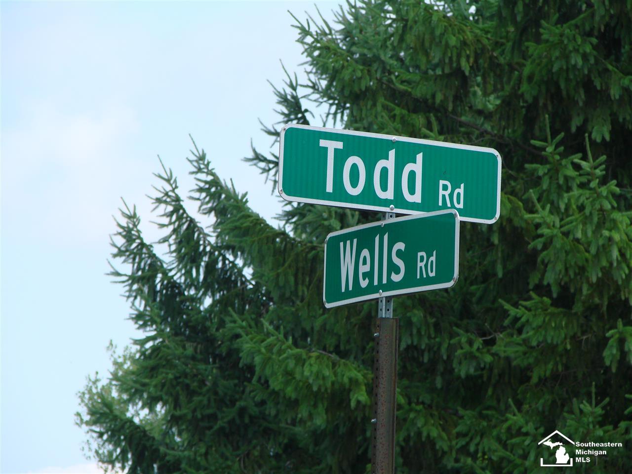0 Wells Road Petersburg, MI 49270 - Photo 2 of 5