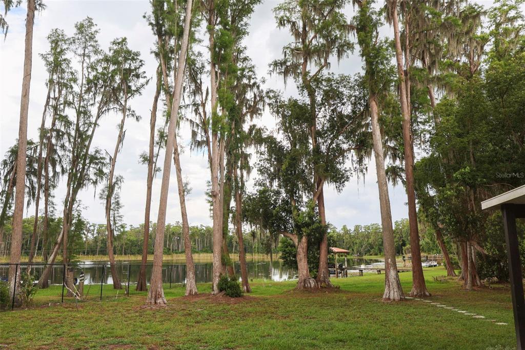 730 Crystal Lake Road Lutz, FL 33548 - Photo 12 of 35