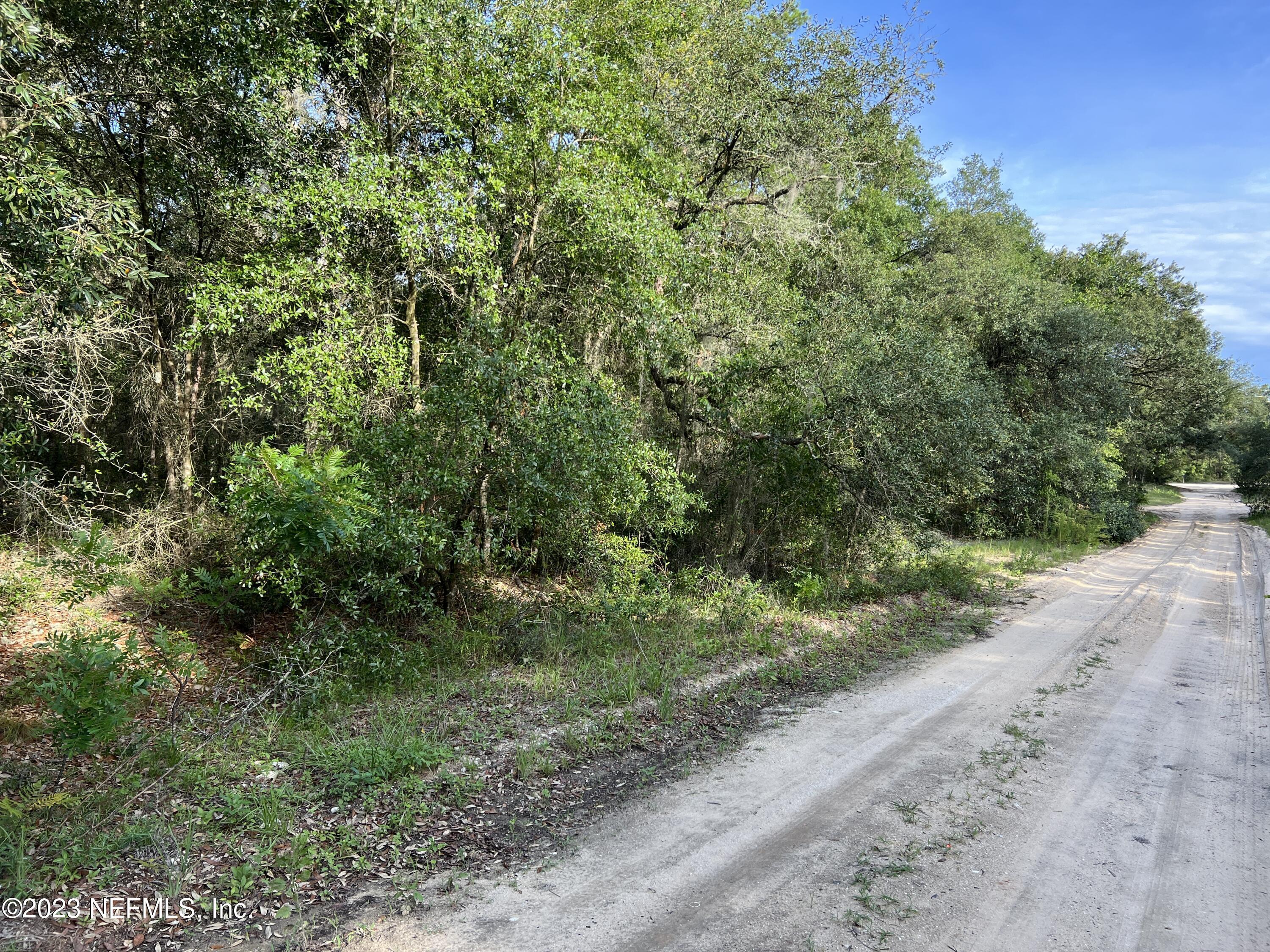 0 Mahan Road Interlachen, FL 32148 - Photo 6 of 7 3