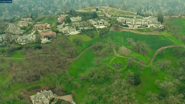 a view of a lush green forest with lots of trees