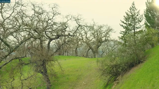 $4,800,000 | 100 Boulder Drive, Alamo, CA 94507