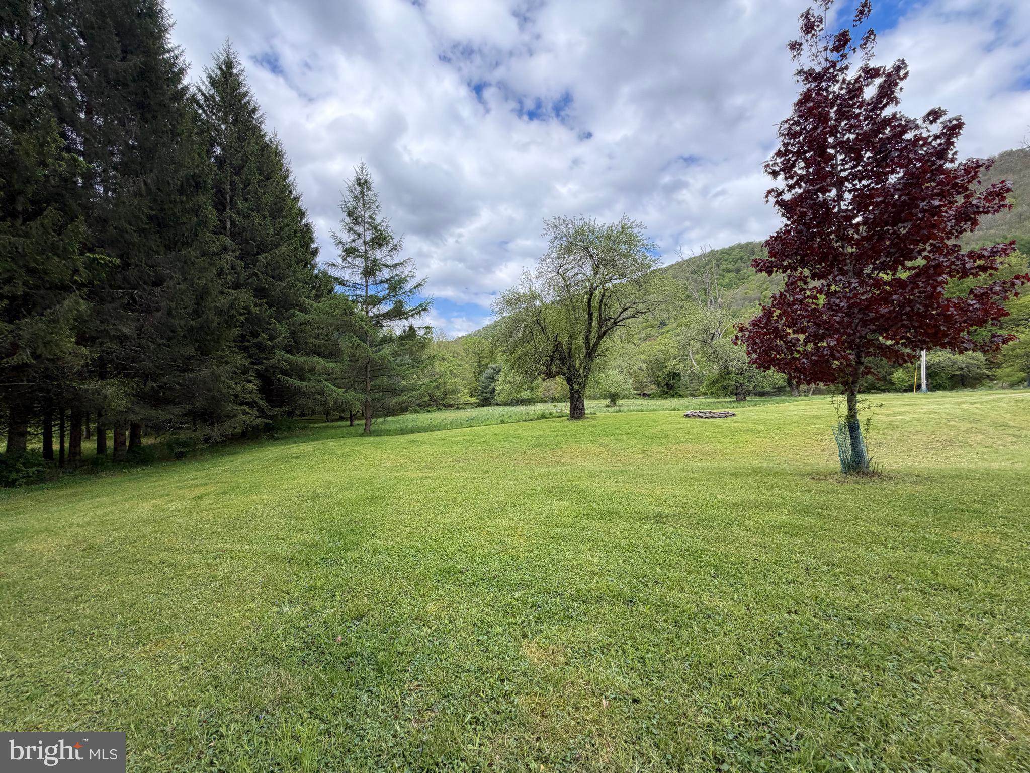 1227 Cross Fork Creek Road Cross Fork, PA 17729 - Photo 89 of 139