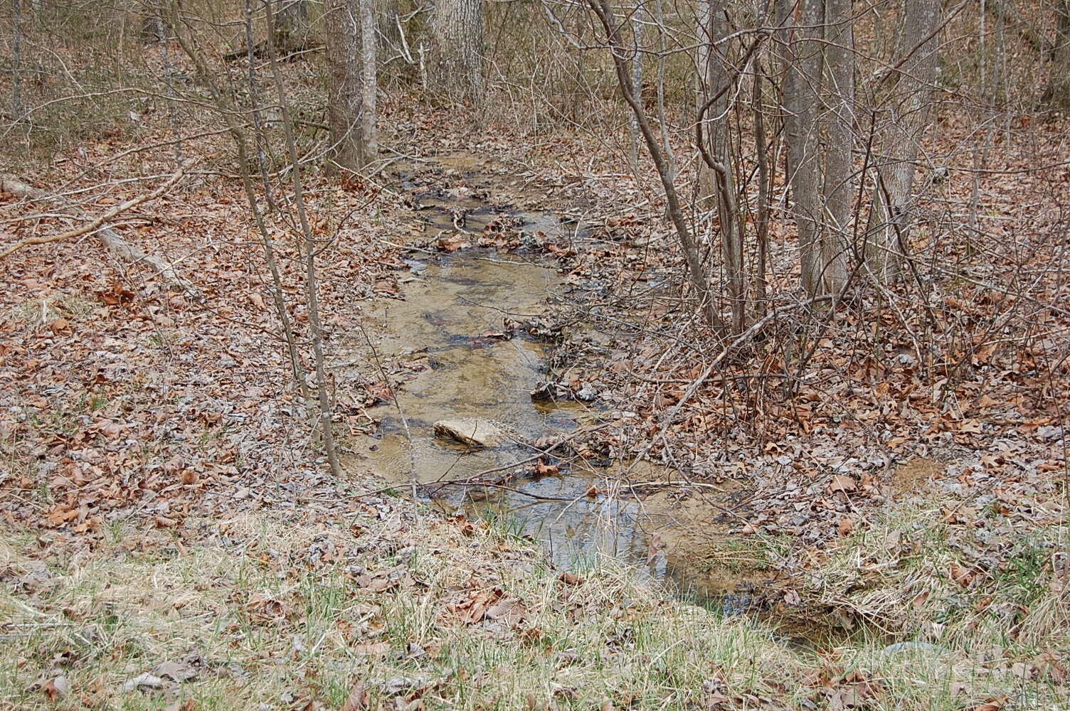 13 Green Forest Road Dunlap, TN 37327 - Photo 1 of 35