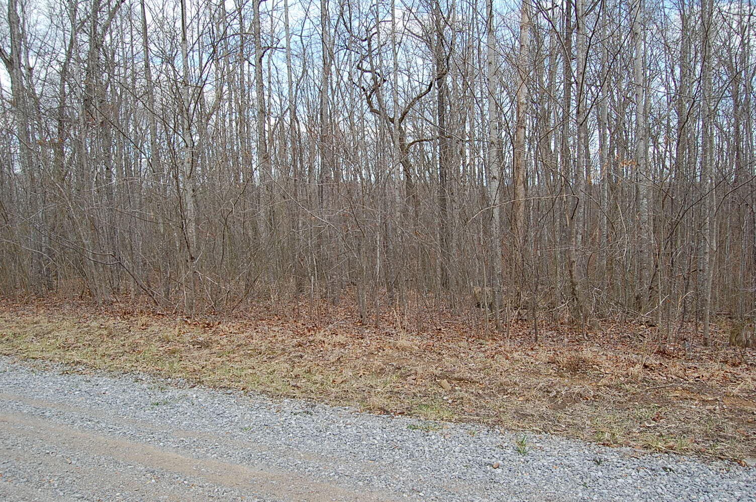 13 Green Forest Road Dunlap, TN 37327 - Photo 28 of 35