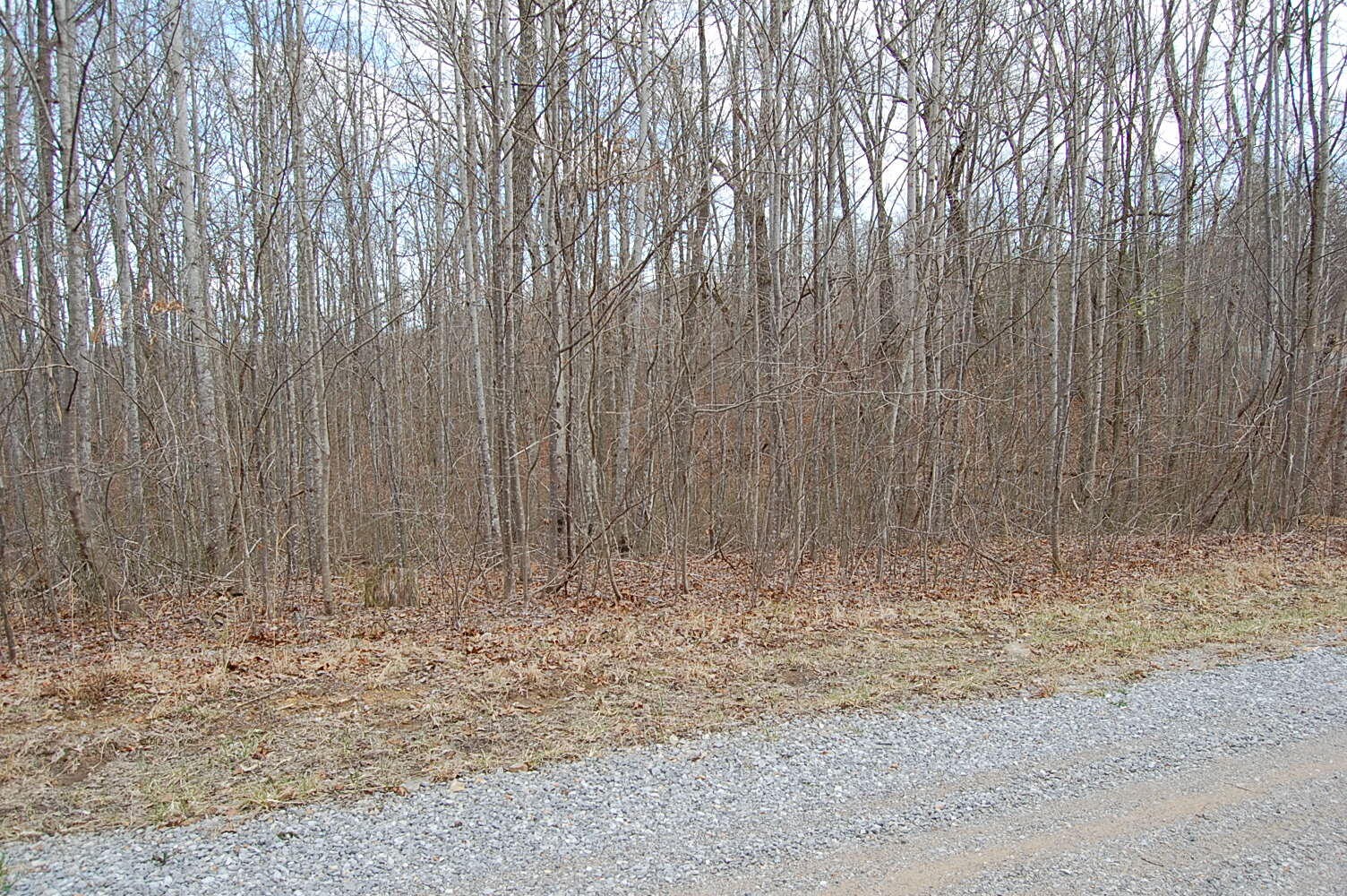 13 Green Forest Road Dunlap, TN 37327 - Photo 29 of 35
