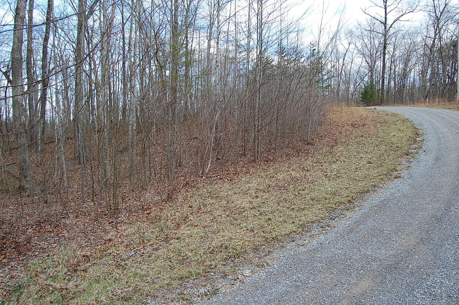 13 Green Forest Road Dunlap, TN 37327 - Photo 5 of 35