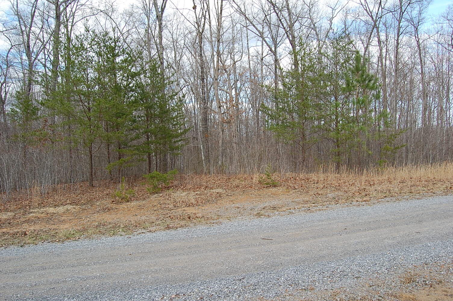 13 Green Forest Road Dunlap, TN 37327 - Photo 7 of 35