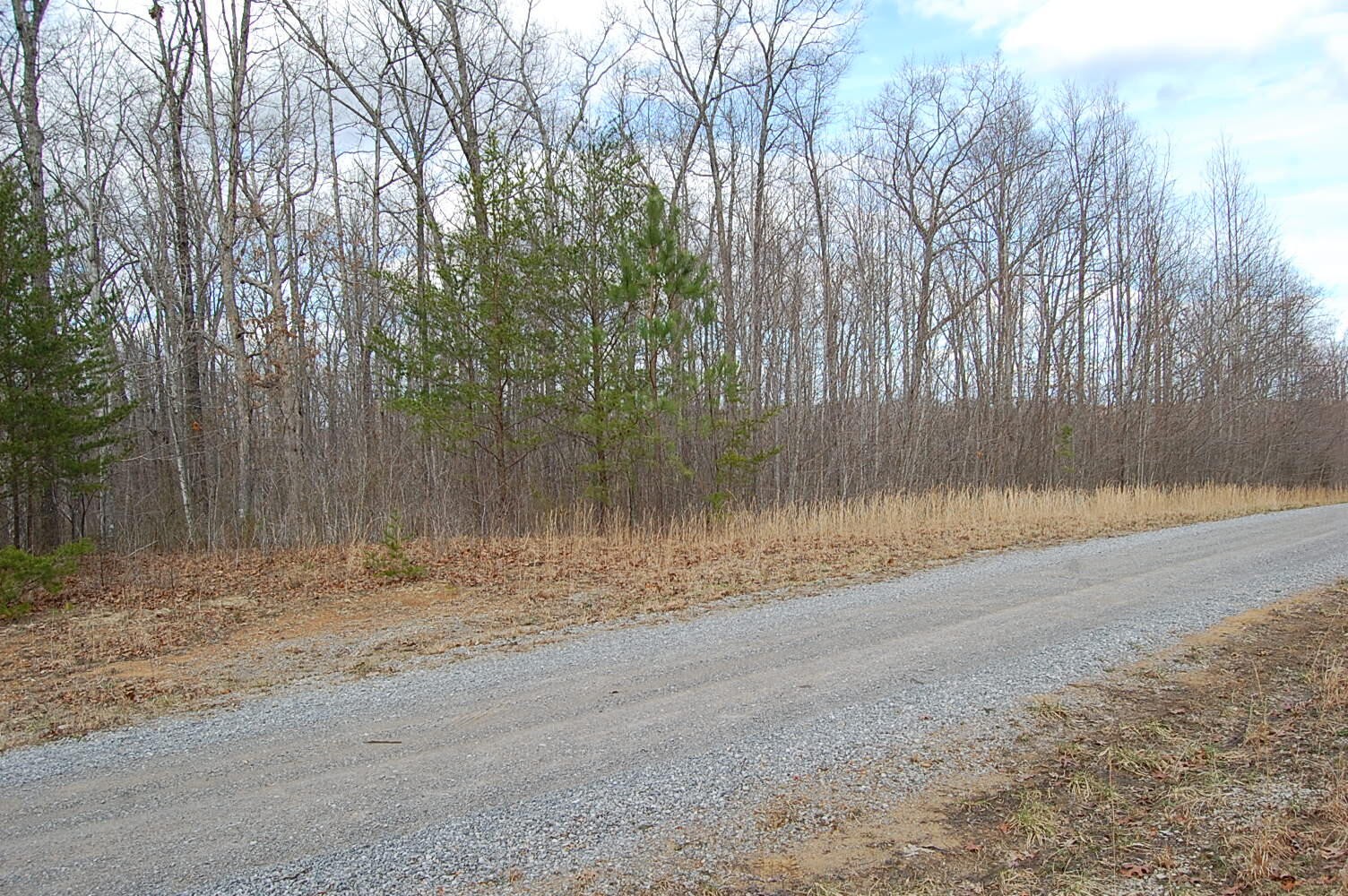 13 Green Forest Road Dunlap, TN 37327 - Photo 8 of 35