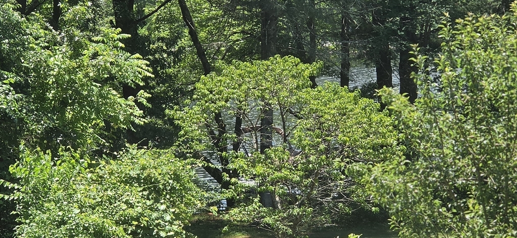 30 Torrey Road, Unit 2 Sutton, MA 01590 - Photo 11 of 22