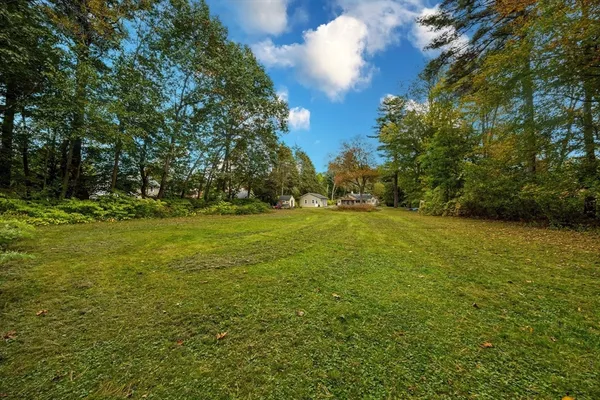 a view of a field with trees