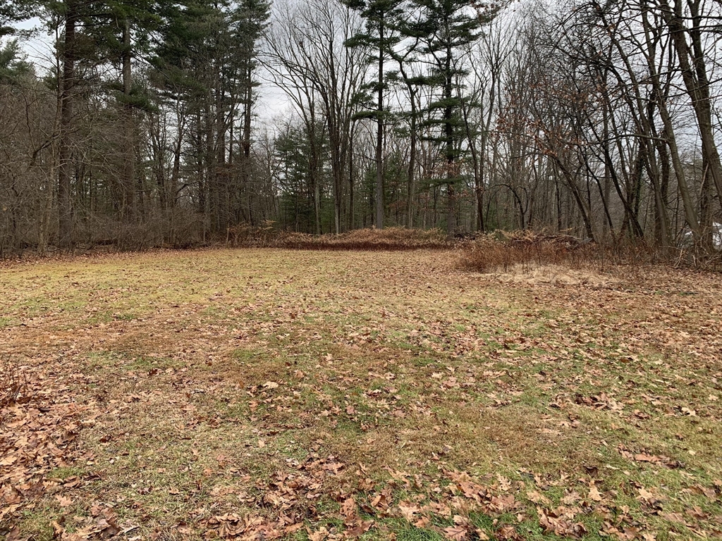 767 Stony Hill Road Wilbraham, MA 01095 - Photo 2 of 11 a backyard of a house