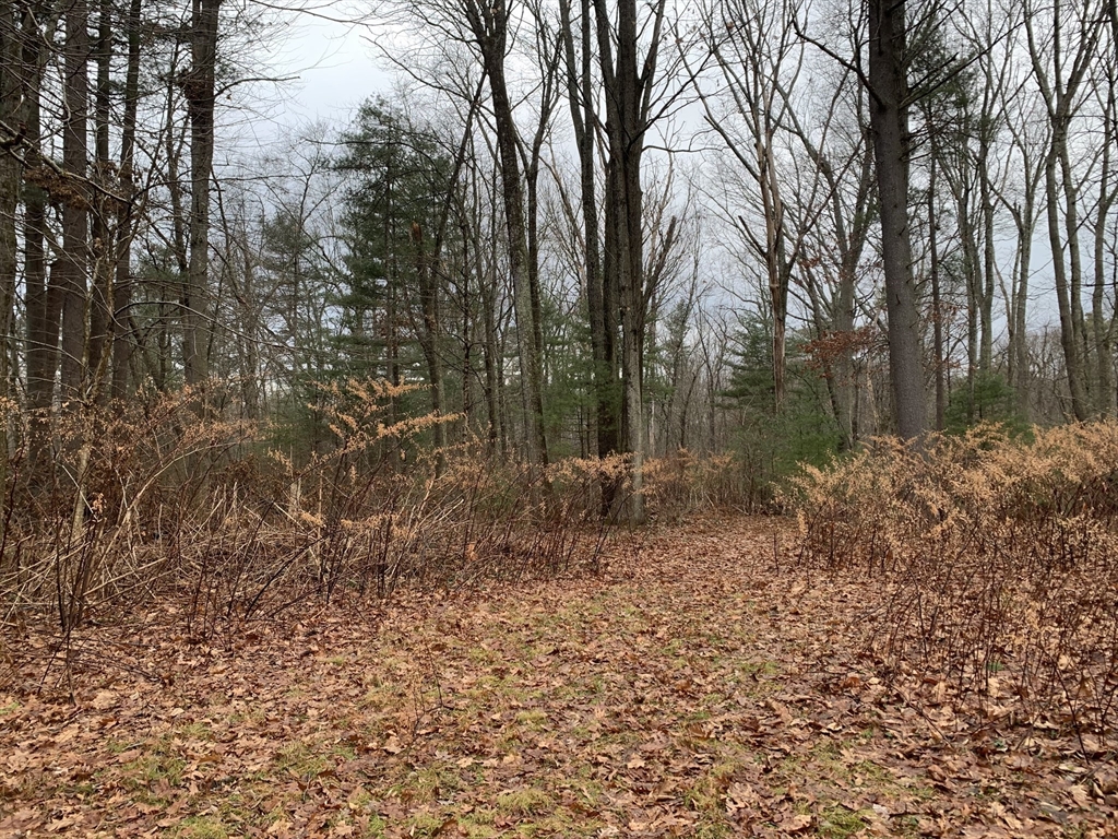 767 Stony Hill Road Wilbraham, MA 01095 - Photo 3 of 11 a backyard of a house with lots of green space