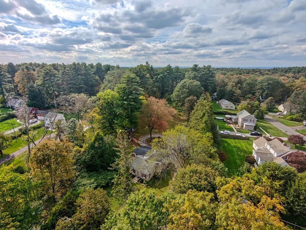 767 Stony Hill Road Wilbraham, MA 01095 - Photo 10 of 11 a view of a garden with plants and large trees