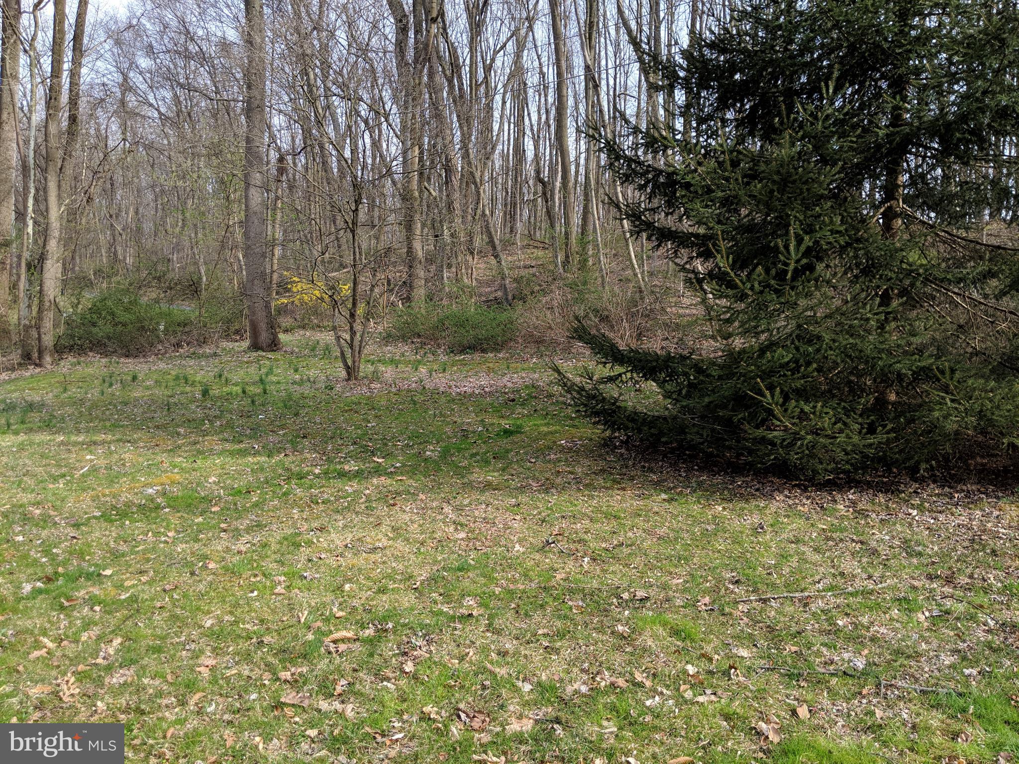 25 Russell Road Conowingo, MD 21918 - Photo 21 of 115 Gallery Image 21