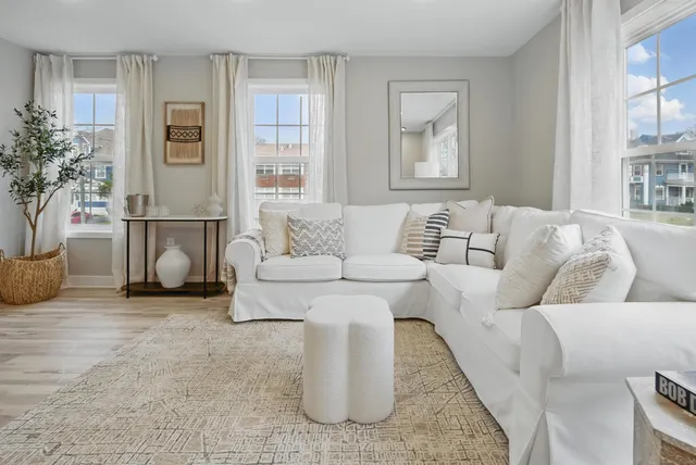 a living room with furniture and a potted plant