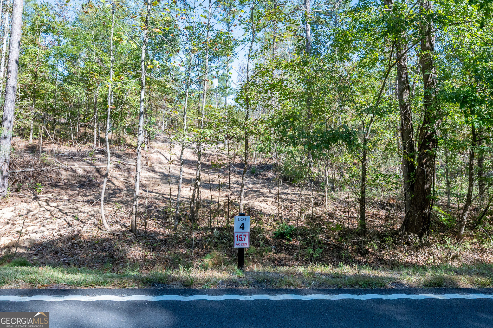 3797 Hwy 140 Ne Rydal Ga 30171 Northeast Rydal, GA 30171 - Photo 2 of 9 a view of outdoor space and street view