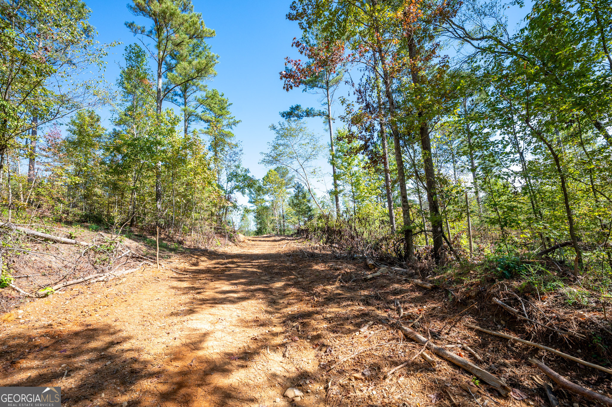 3797 Hwy 140 Ne Rydal Ga 30171 Northeast Rydal, GA 30171 - Photo 5 of 9 a view of a yard with plants and trees