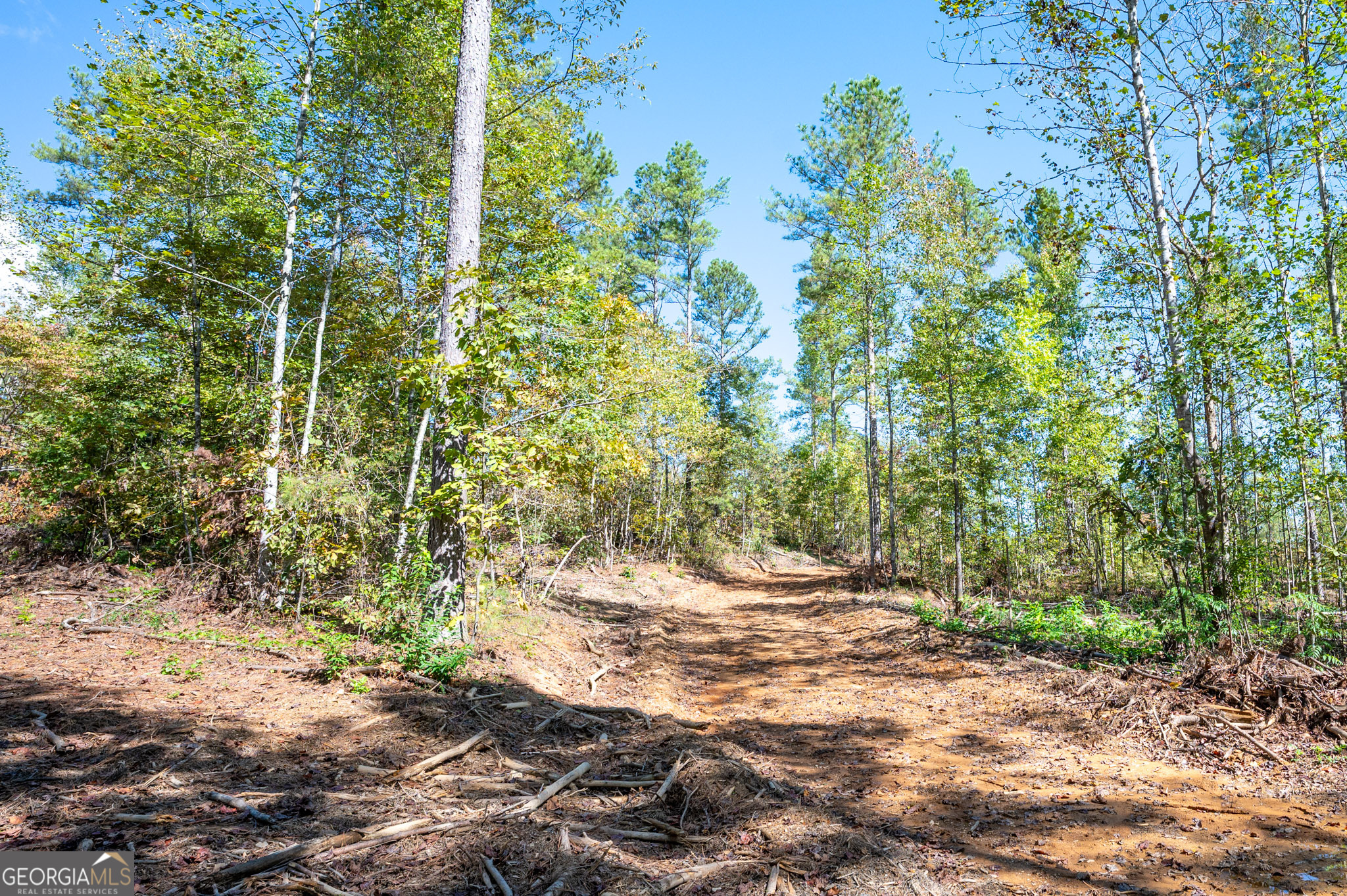 3797 Hwy 140 Ne Rydal Ga 30171 Northeast Rydal, GA 30171 - Photo 6 of 9