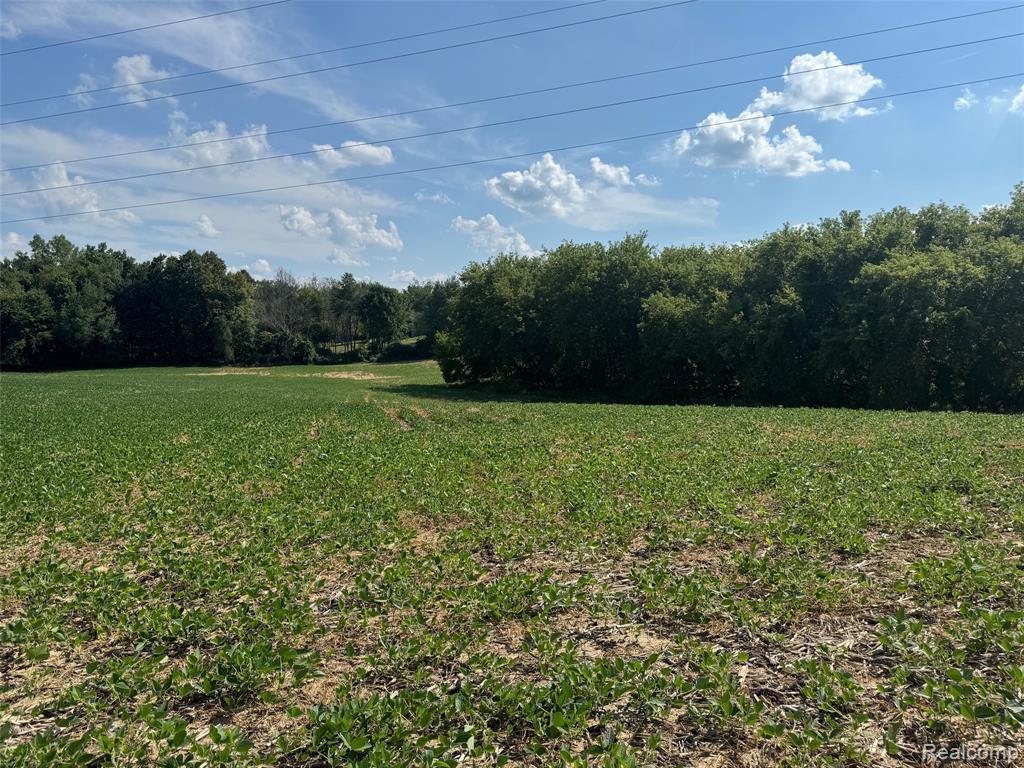 Vl South Mill Road Dryden, MI 48428 - Photo 4 of 13