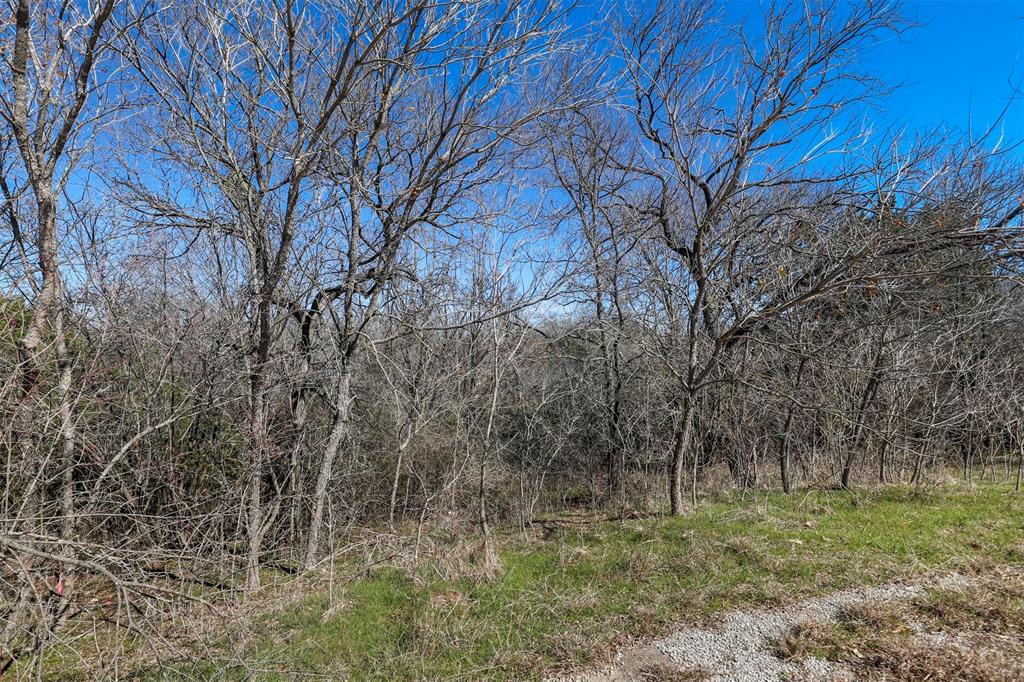 38107 Misty Ridge Drive Whitney, TX 76692 - Photo 7 of 8 a big yard with lots of green space and plants