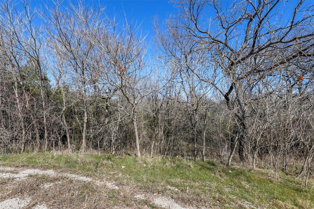 38107 Misty Ridge Drive Whitney, TX 76692 - Photo 8 of 8 a big yard with lots of green space and deers