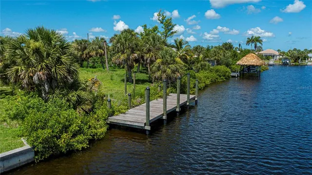 a black and white photo of a garden