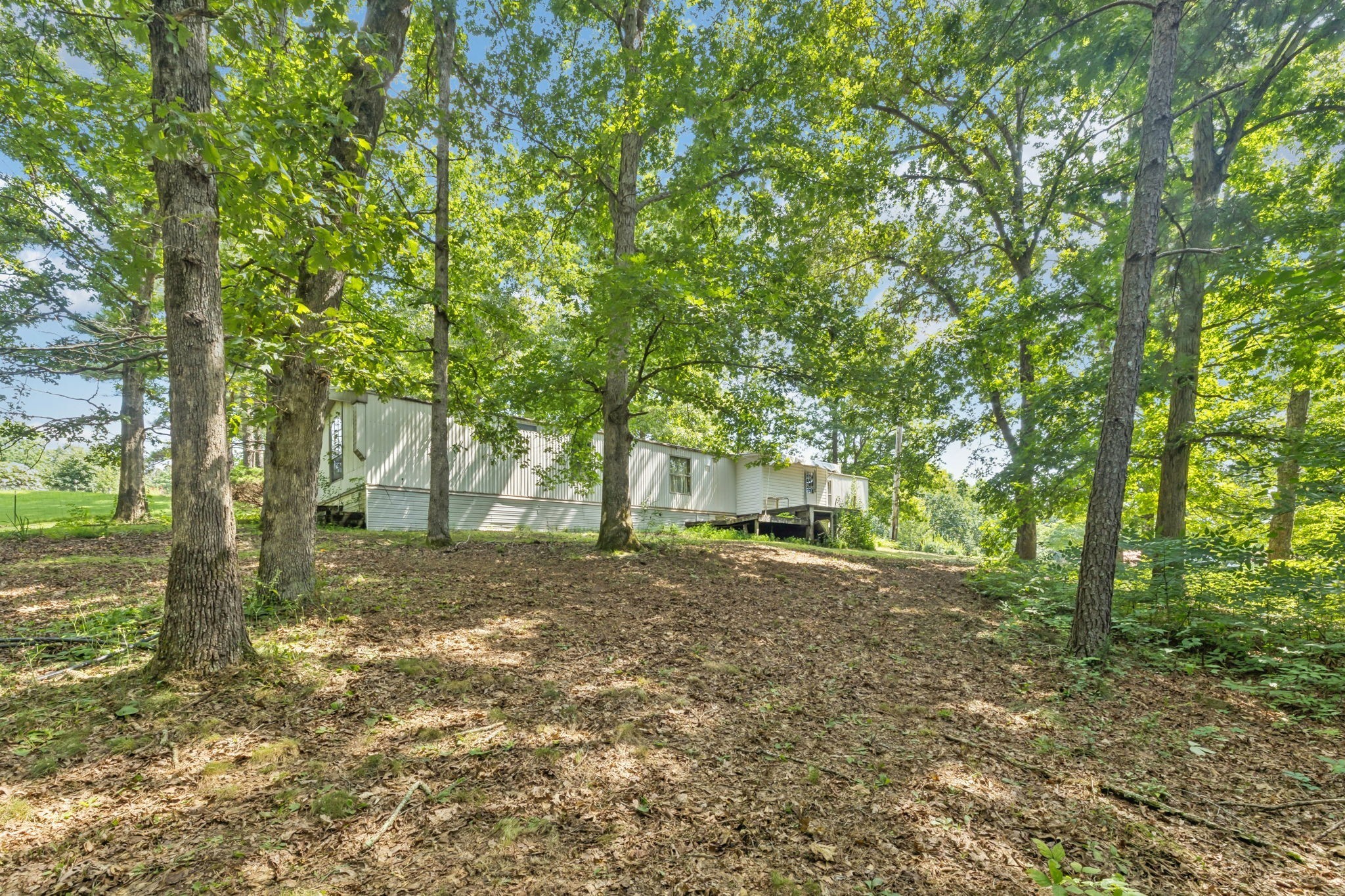 160 Pleasant View Ridge Road Indian Mound, TN 37079 - Photo 18 of 38 Gallery Image 18