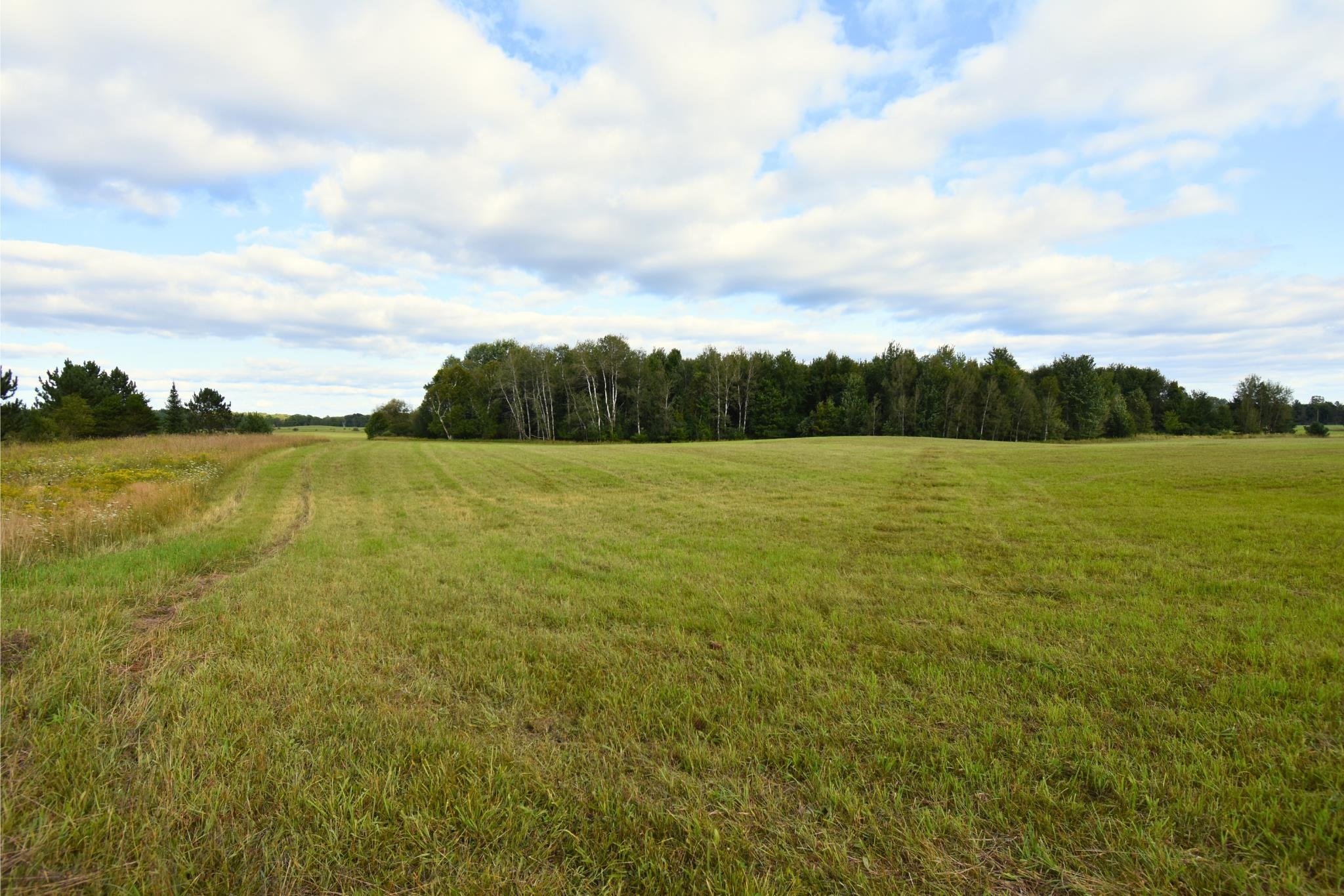 4190 Ford Road Glennie, MI 48737 - Photo 34 of 45
