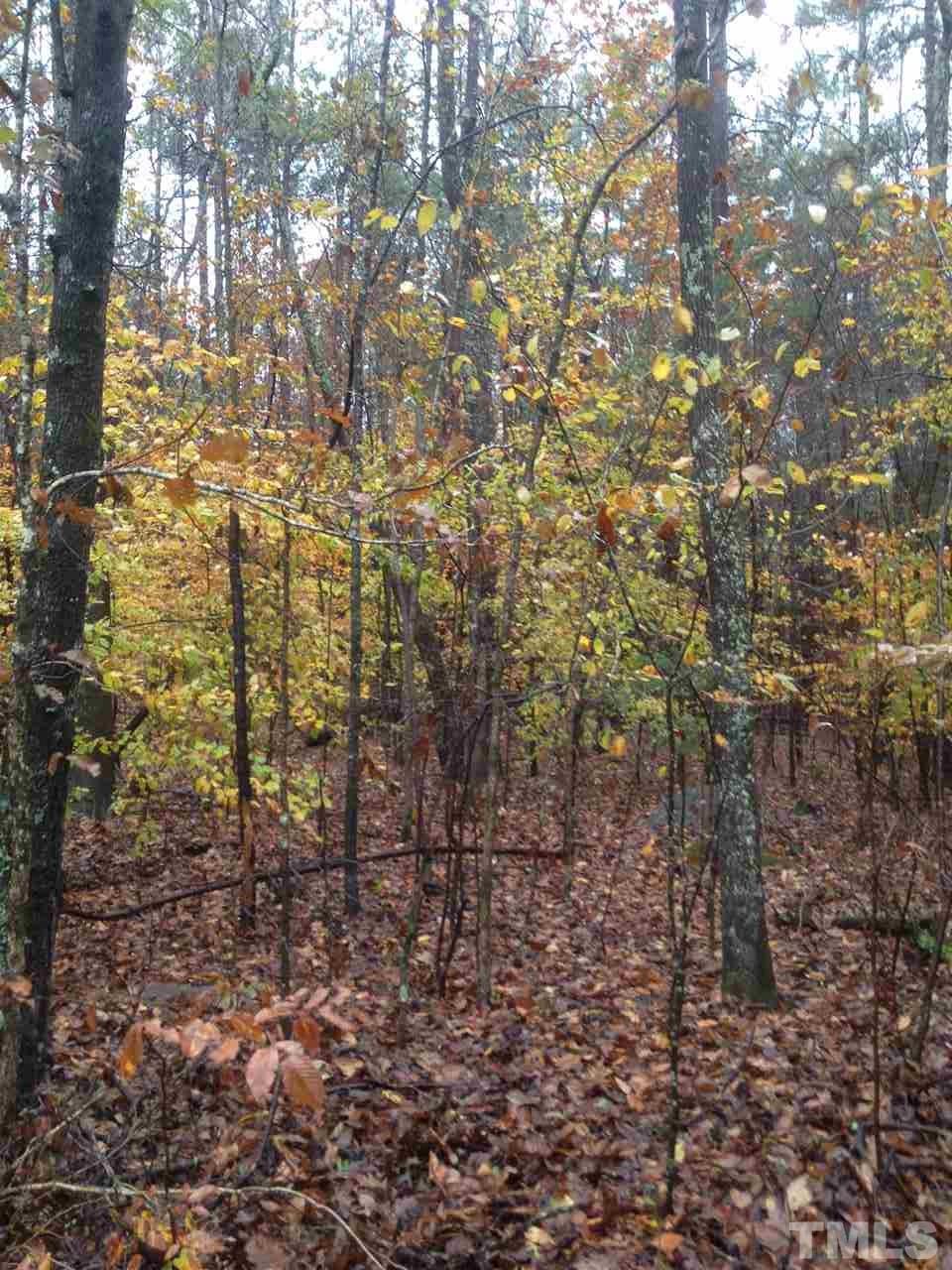 5835 Kiger Road Rougemont, NC 27572 - Photo 8 of 8 a view of a yard with lots of trees