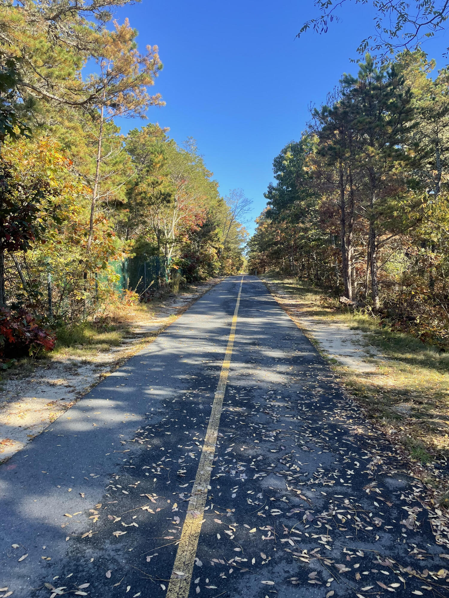 35 Hillside Road Harwich, MA 02645 - Photo 41 of 48 Bike trail