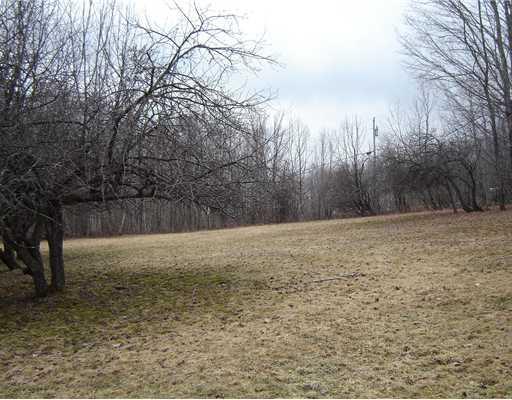 541 Rand Road Industry, ME 04938 - Photo 14 of 16 Yard/Garden.