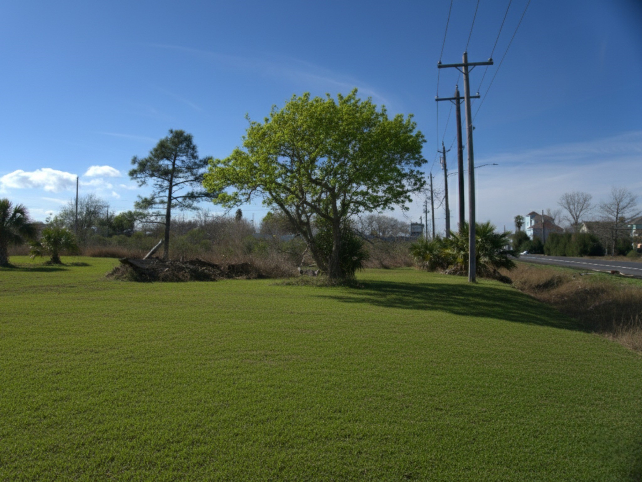 230 22nd Street Dickinson, TX 77539 - Photo 15 of 15 Final view of the mature trees and the back acreage.