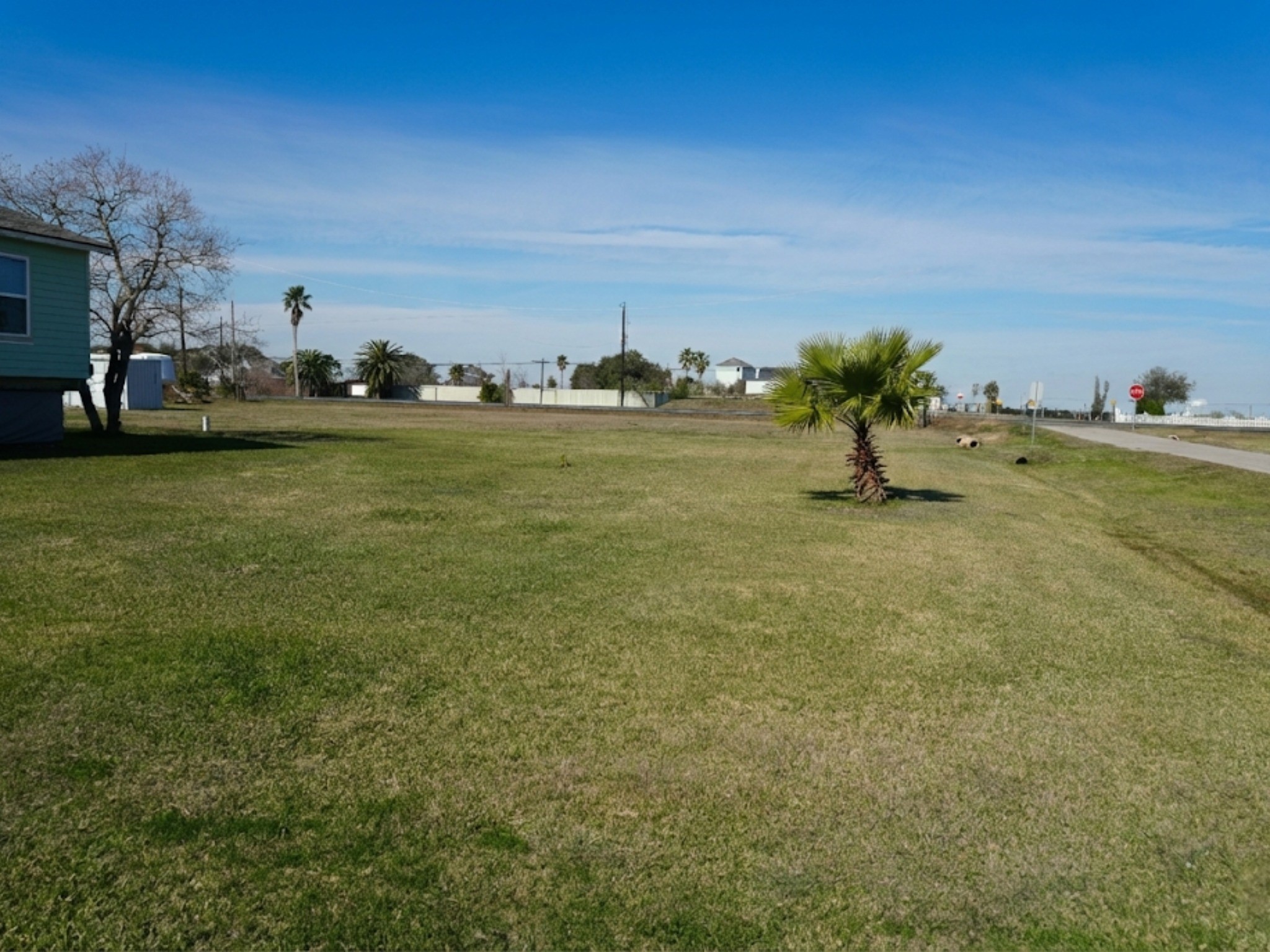 230 22nd Street Dickinson, TX 77539 - Photo 9 of 15 The iconic palm tree and gated entrance.