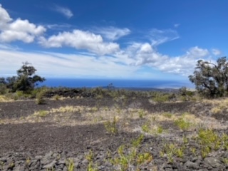 Road to the Sea - ocean views from the main house pad area