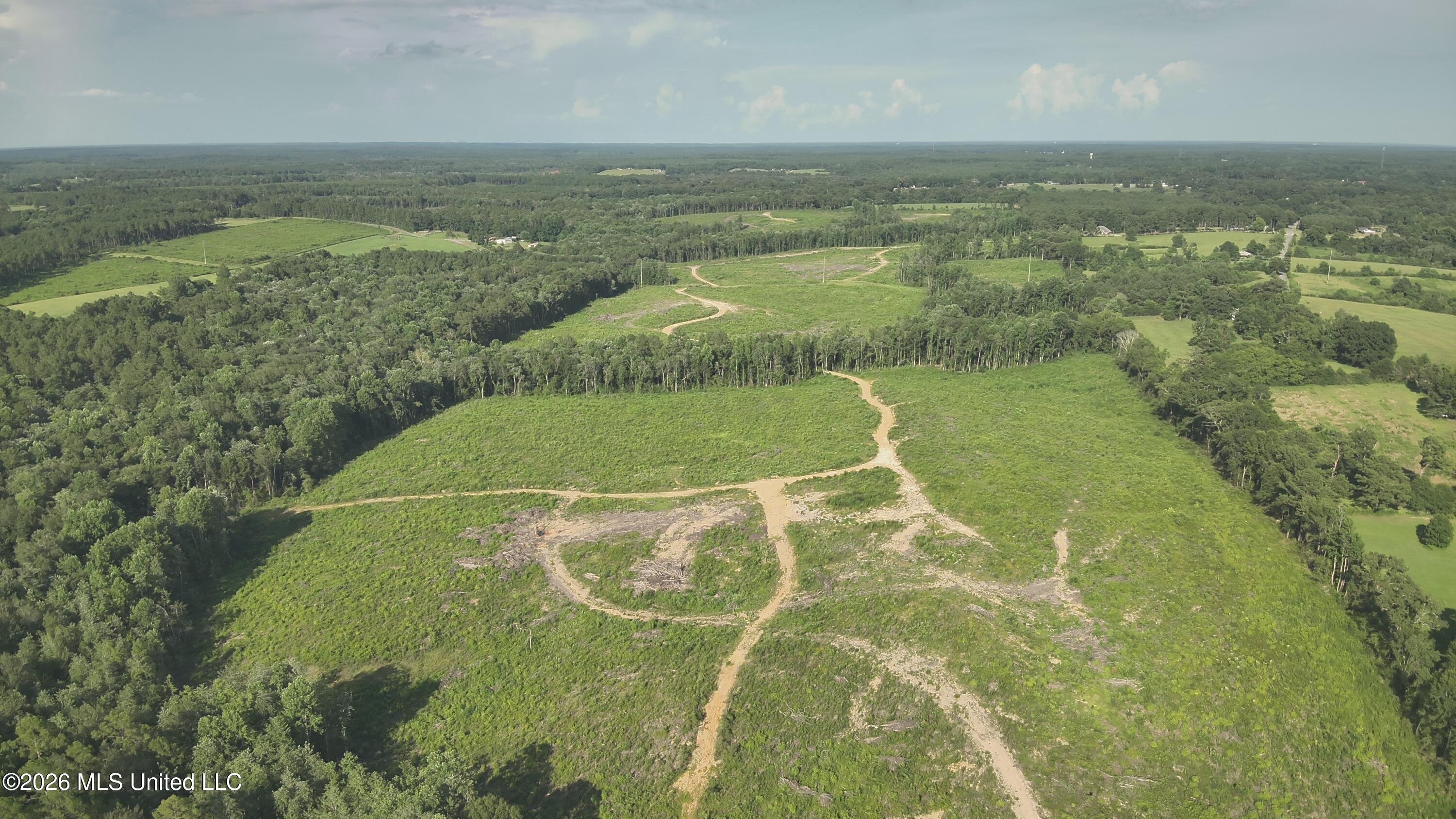 Oscar Bell Road Waynesboro, MS 39367 - Photo 15 of 23 DJI_20260710174106_0041_V