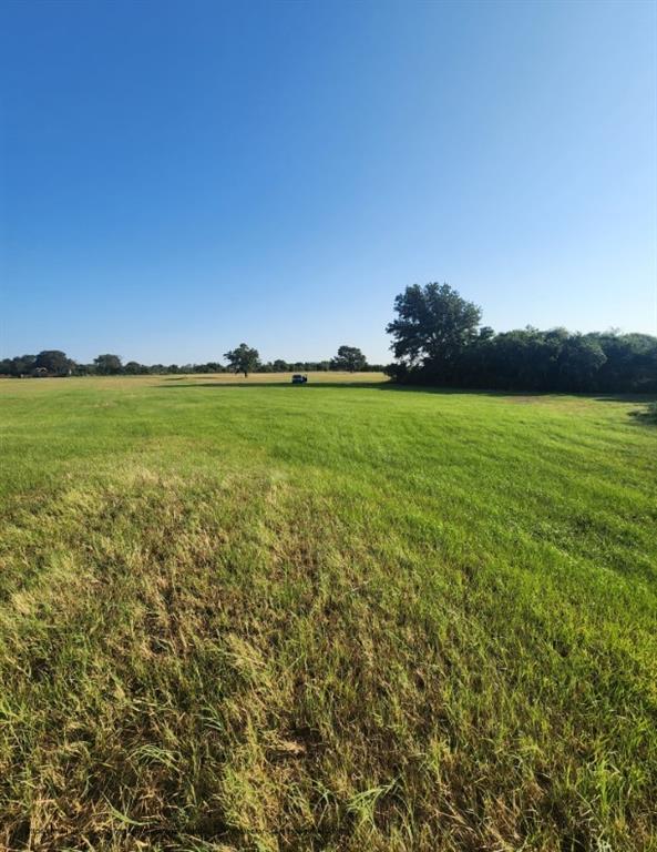 0 Southeast County Road Kerens, TX 75144 - Photo 14 of 19