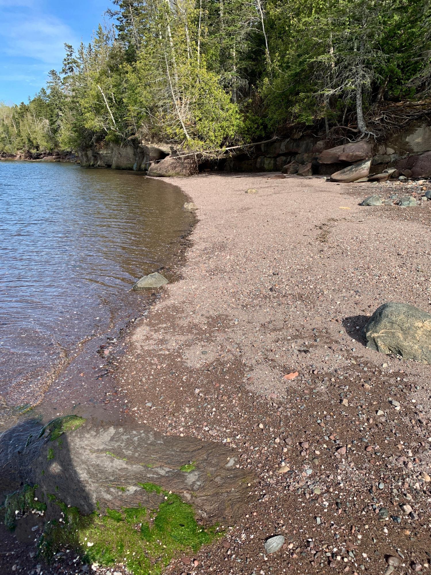 Lot 23 Gin Cove Road Perry, ME 04667 - Photo 39 of 46 IMG_0342