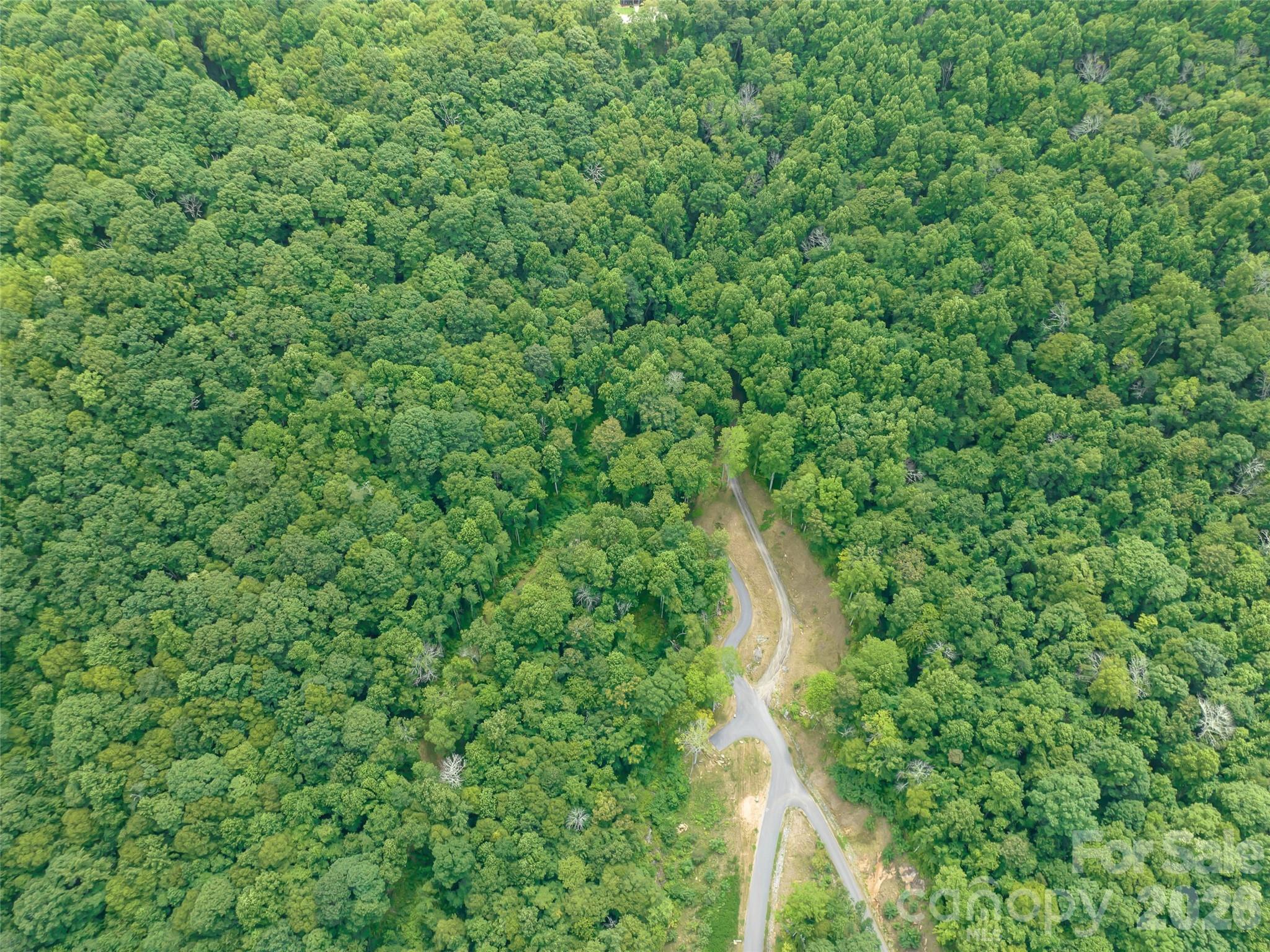 1394 Daydream Ridge Swannanoa, NC 28778 - Photo 17 of 31 a map view of a forest with a trees