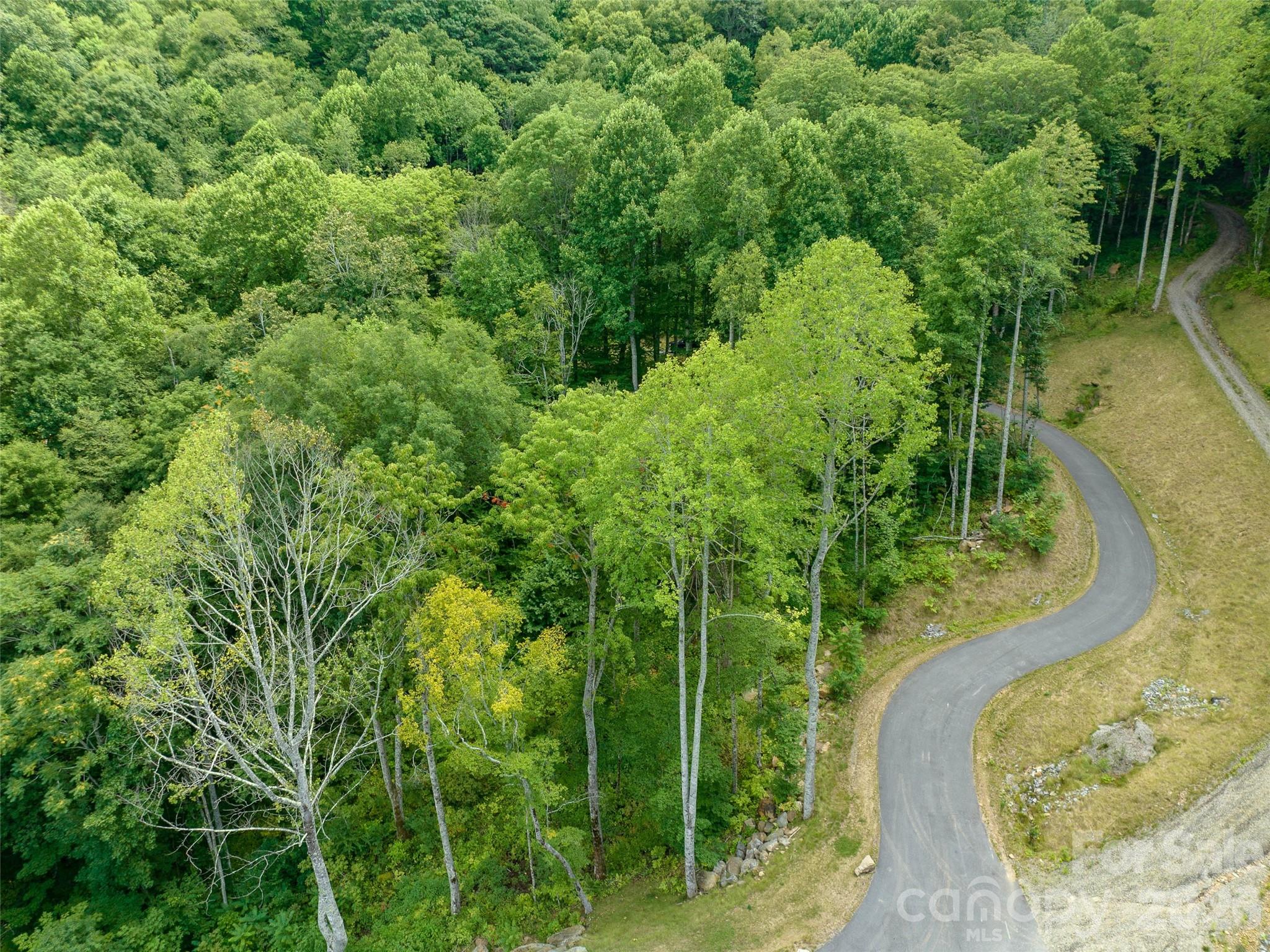 1394 Daydream Ridge Swannanoa, NC 28778 - Photo 21 of 31 an aerial view of a garden