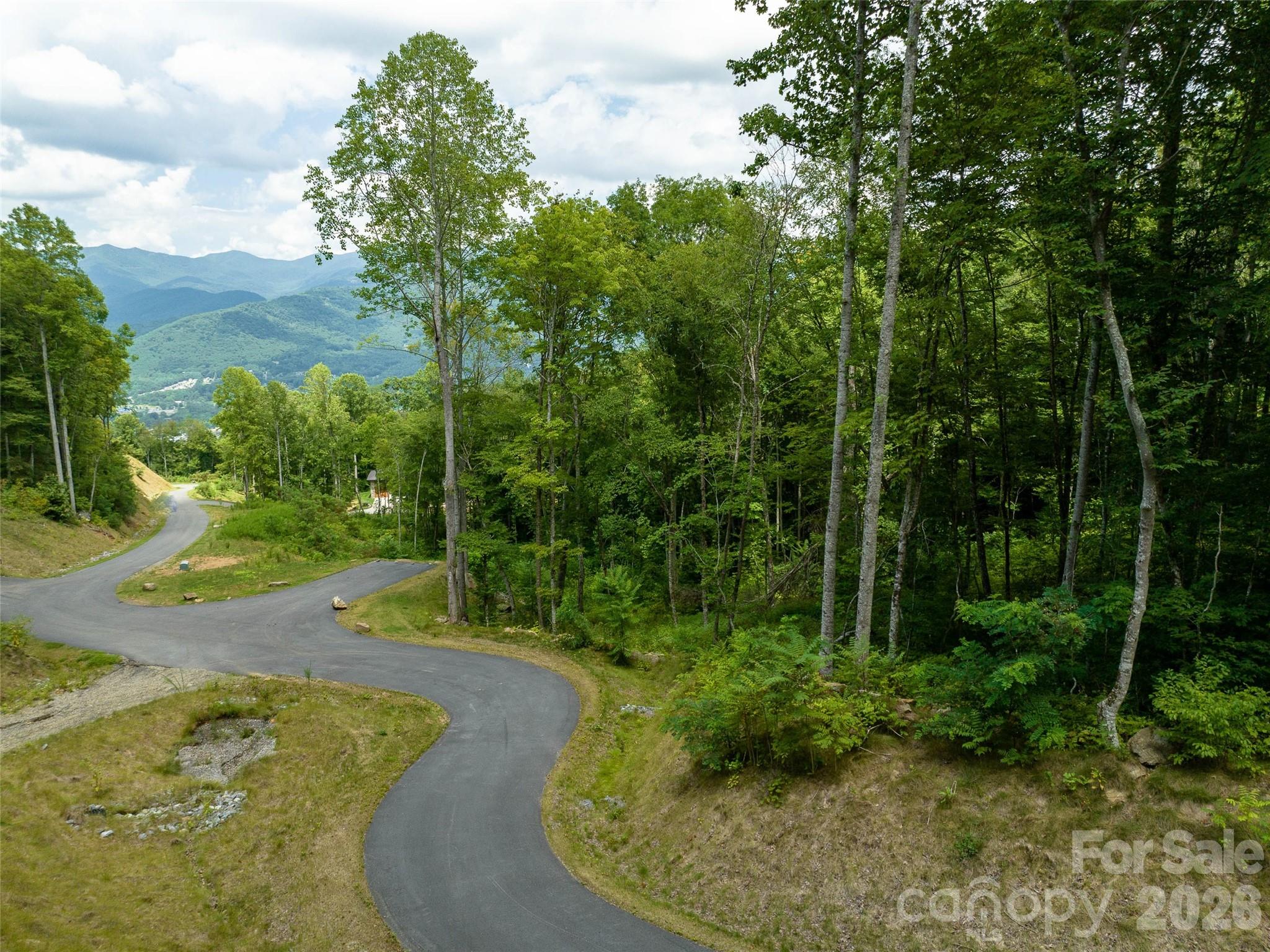 1394 Daydream Ridge Swannanoa, NC 28778 - Photo 22 of 31 a view of a backyard